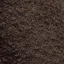 Forte - 3