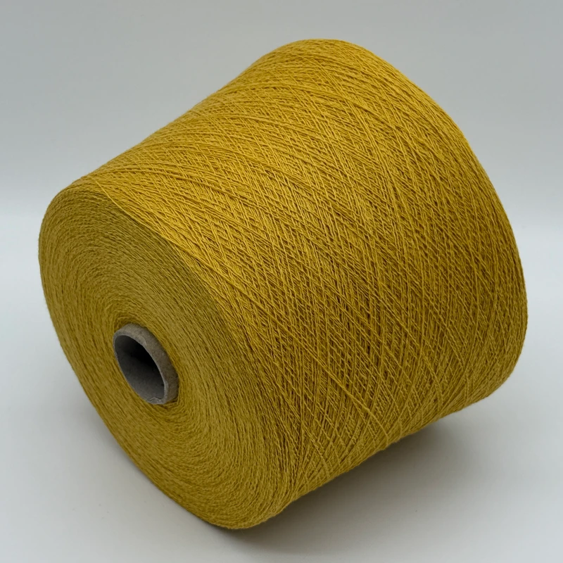 Dorotea 2/30